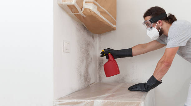 Professional Mold Inspection technician working in Akron, NY