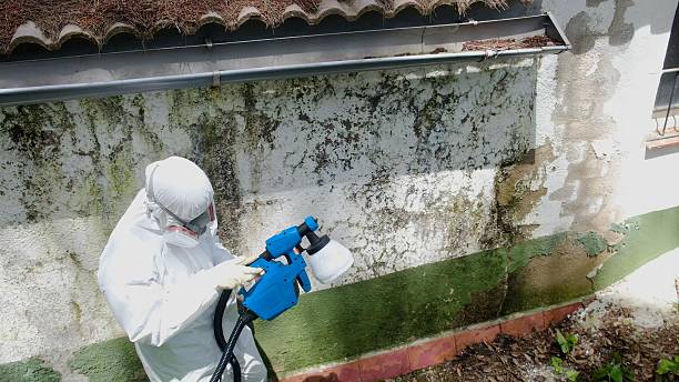 Trusted Mold Inspection service in Akron, NY - Cheap Mold Removal